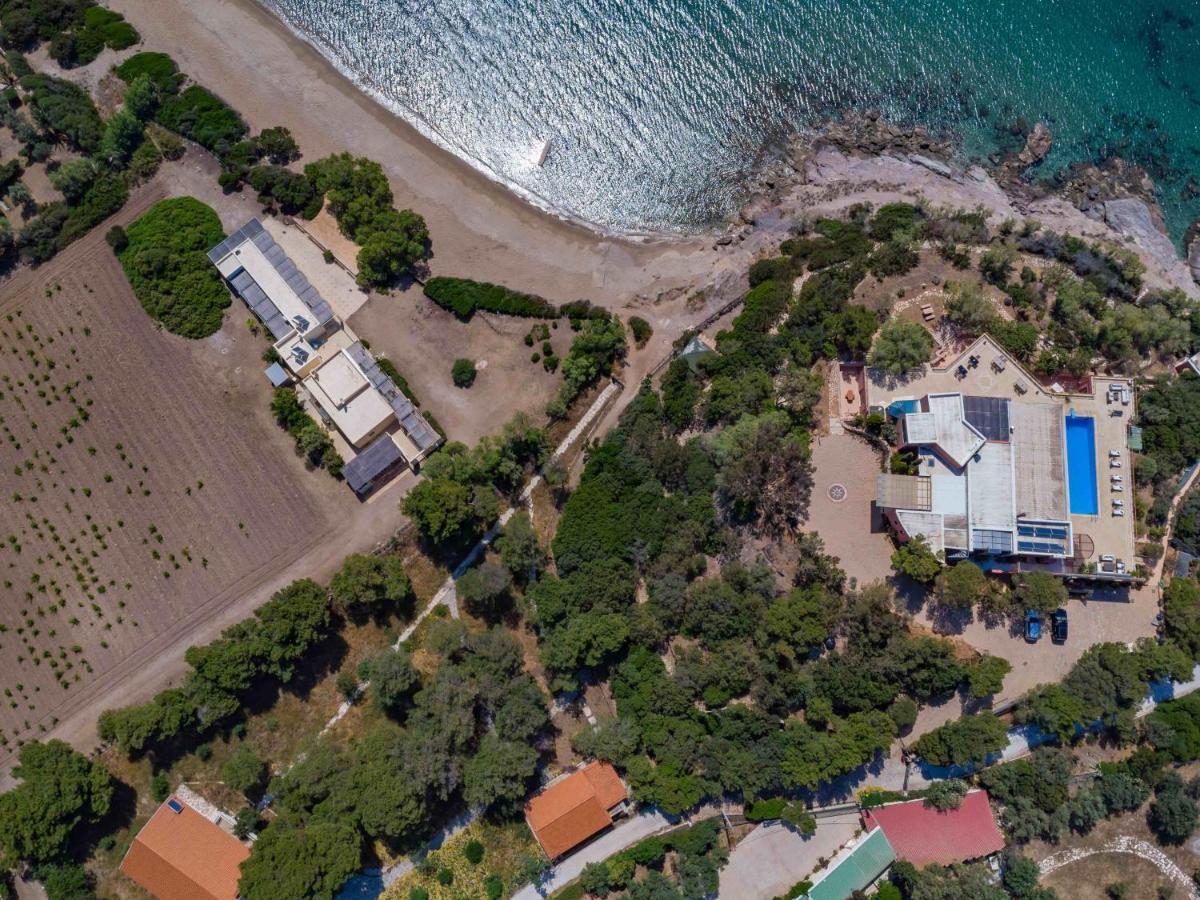 Black Diamond Beachfront Pool Villa Pasithea In Sounio, Athens Sounion Ngoại thất bức ảnh