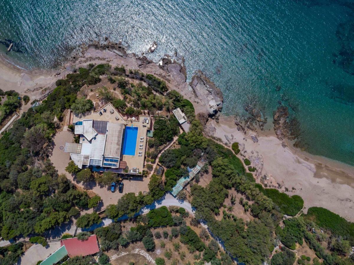 Black Diamond Beachfront Pool Villa Pasithea In Sounio, Athens Sounion Ngoại thất bức ảnh