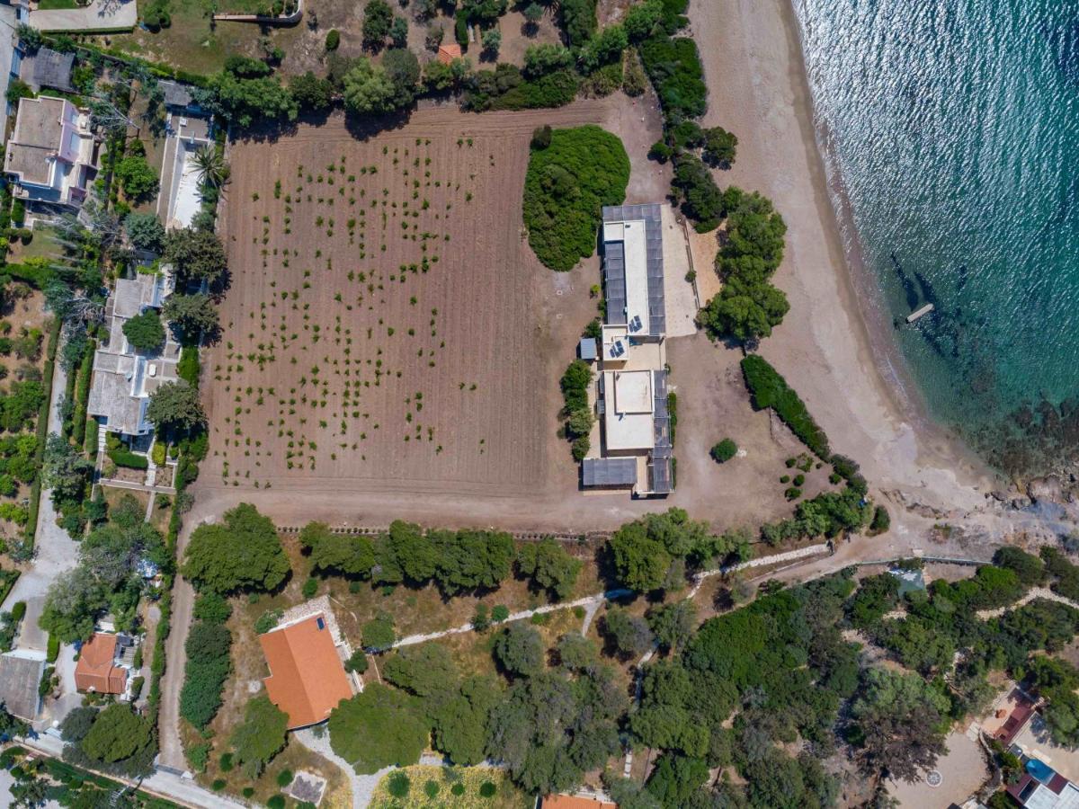 Black Diamond Beachfront Pool Villa Pasithea In Sounio, Athens Sounion Ngoại thất bức ảnh