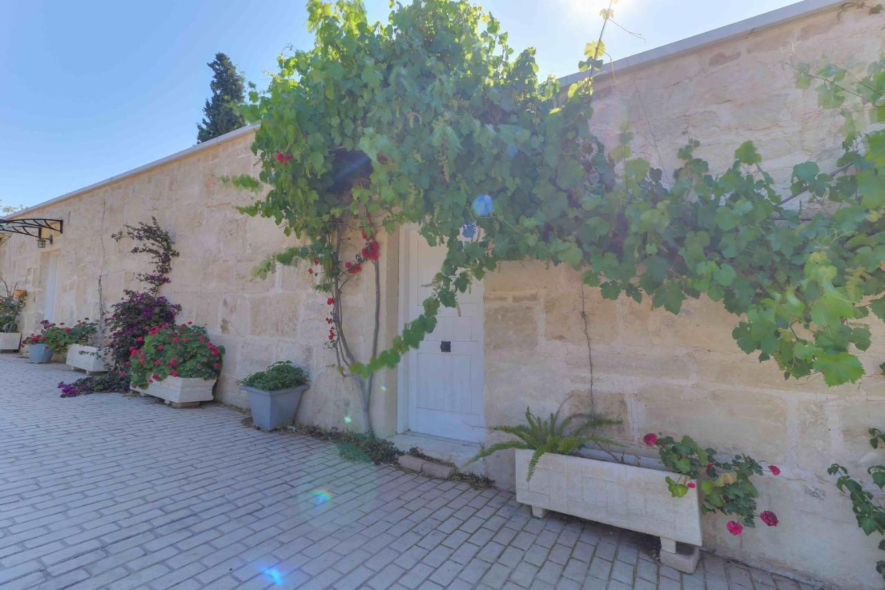 Black Diamond Beachfront Pool Villa Pasithea In Sounio, Athens Sounion Ngoại thất bức ảnh